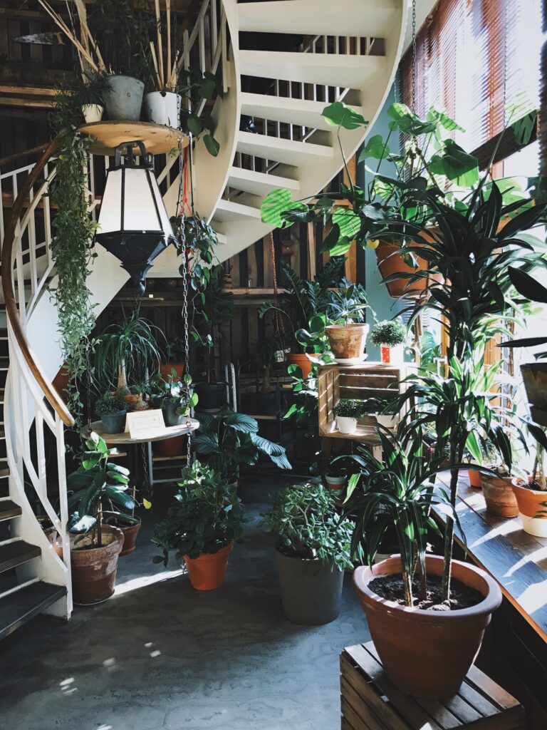 Tienda con plantas